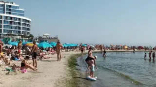 Черно море бавно умира: Замърсяване, мъртви делфини и промени в екосистемата