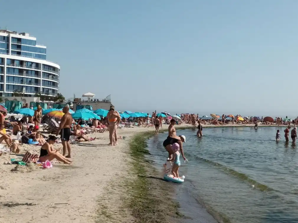Черно море бавно умира: Замърсяване, мъртви делфини и промени в екосистемата