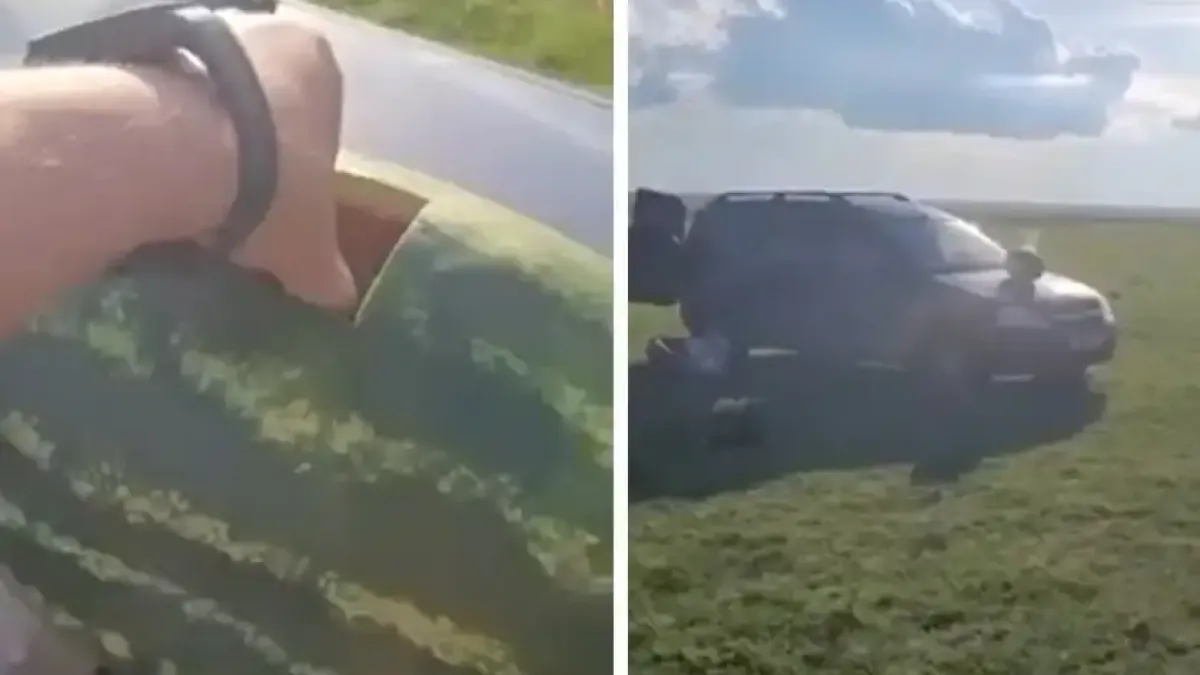 Видео показва какво се случва, ако се сложи патрон в диня