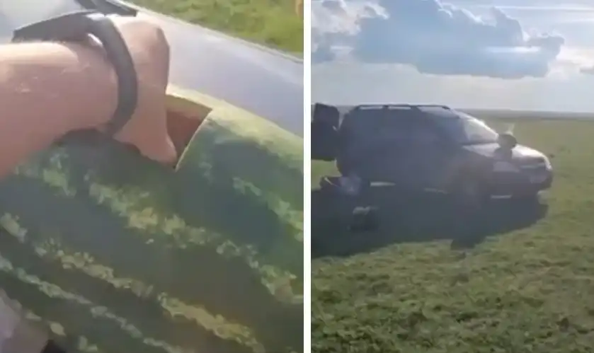 Видео показва какво се случва, ако се сложи патрон в диня