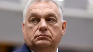 Видео с фермата на бащата на Орбан превъртя играта