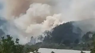 Голям пожар гори край Якоруда, вятърът го разпространява опасно Видео