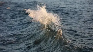 Румънска туристка се удави край Слънчев бряг