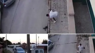 Ужасяващо видео показва как изрод от Севлиево убива малко коте