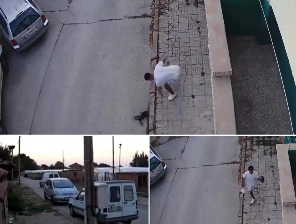 Ужасяващо видео показва как изрод от Севлиево убива малко коте