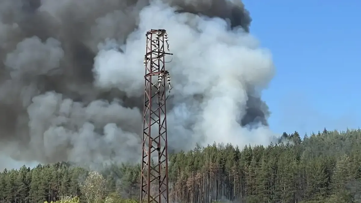 Пожар избухна до полигона в Панагюрище