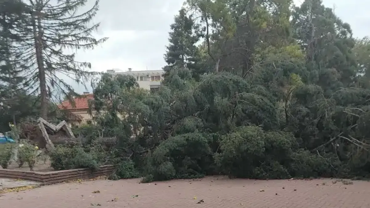 В Кюстендил е като след война, кметът: Всичко стана за секунди Видео