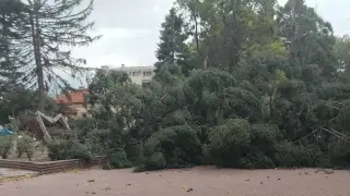 В Кюстендил е като след война, кметът: Всичко стана за секунди Видео