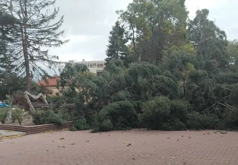 В Кюстендил е като след война, кметът: Всичко стана за секунди Видео