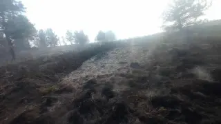 Огънят в Рила не гасне, пуснаха и Кугъра да помага