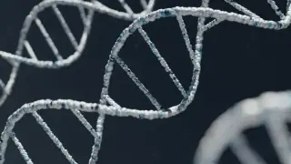 Учените в паника заради "Огледалния живот", искат незабавна забрана на...