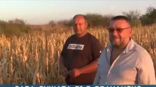 Това беше най-плодородната земя в България, а сега се превръща в пустиня