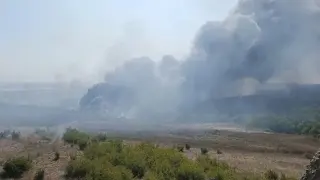 Извънредно: Голям пожар край Бургас, небето почерня