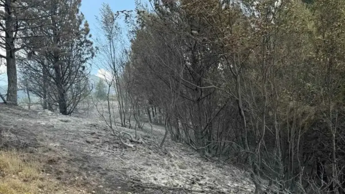 Седми ден продължава борбата с пожара в Рила
