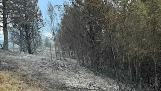 Седми ден продължава борбата с пожара в Рила