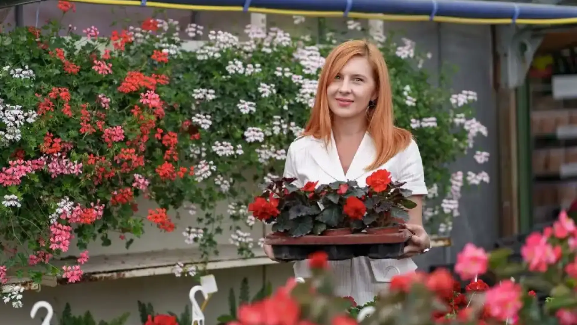 Как да превърнеш балкона си в мини градина – дори и в малко пространство