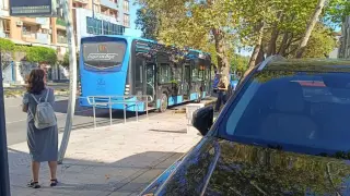 Свиреп екшън: Подивял бургазлия счупи стъклото на автобус на градския транспорт, скочи през него и...
