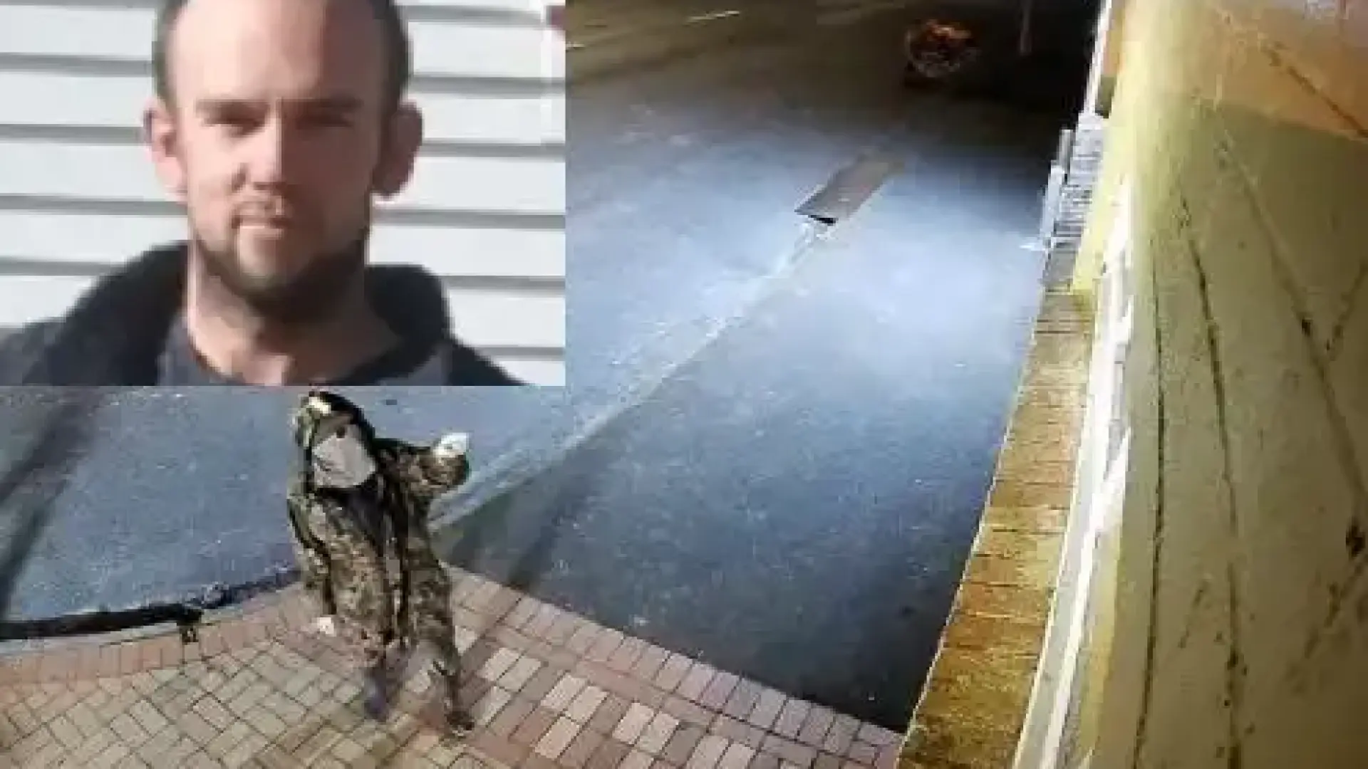 Баща завлече децата си в гората и ги държа там 3 години, застреляха го като куче