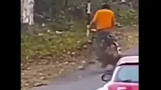 Хищен звяр нападна велосипедист на пътя Видео
