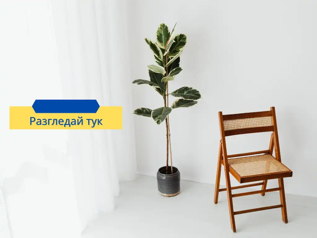 сгъваеми столове