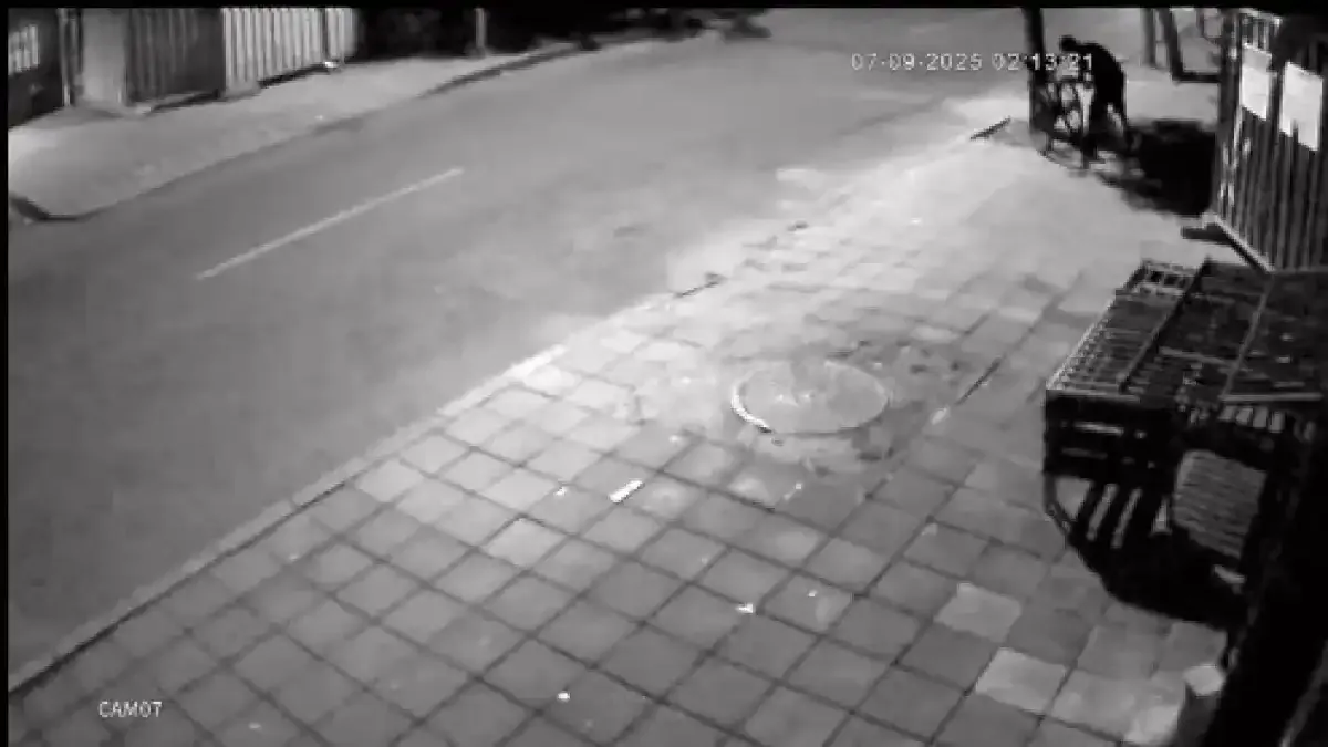 Много обичана родна певица не е на себе си, посегнаха и на ... Видео