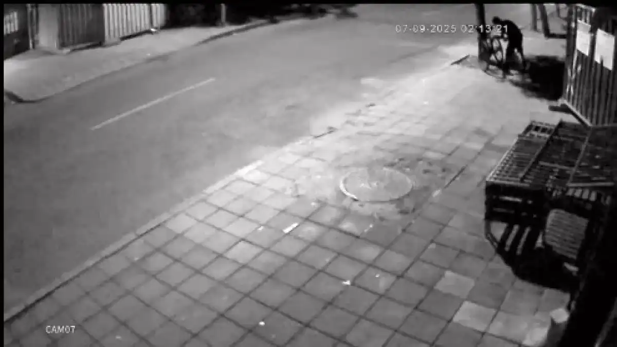 Много обичана родна певица не е на себе си, посегнаха и на ... Видео