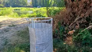 Младеж с куче сам изчисти боклуците край Марица в Пловдив