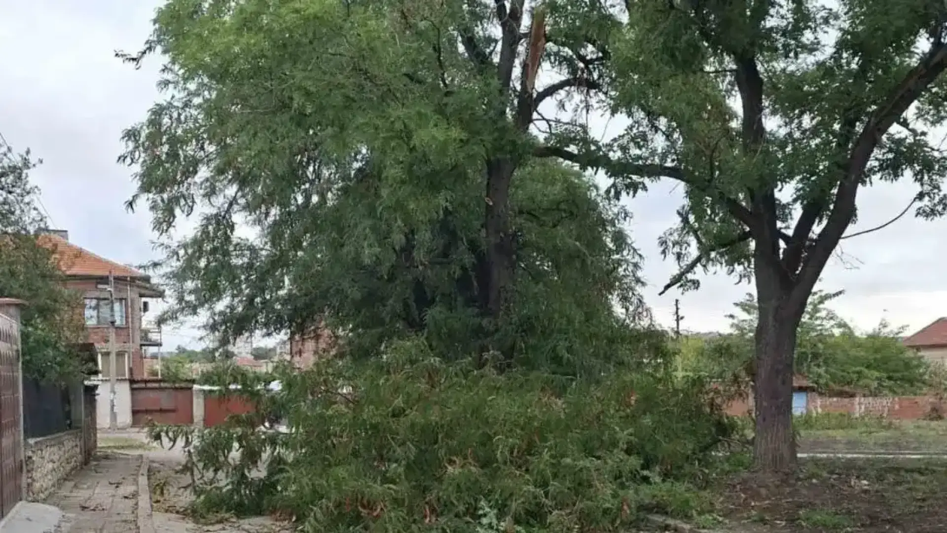 Чирпан се размина на косъм с огромна трагедия на детска площадка Снимки