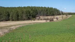 Скритото бижу до София със страхотни места за разходка