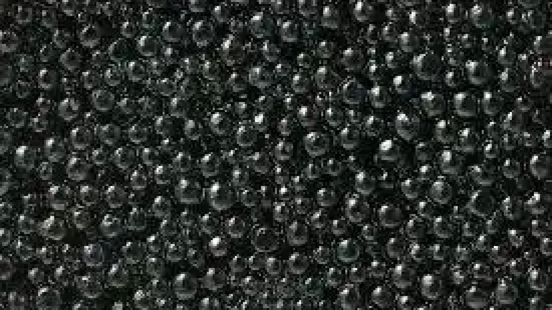 В Турция стават богаташи: Стока от Черно море се харчи за 1 евро грама