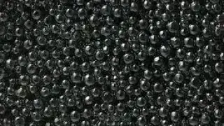 В Турция стават богаташи: Стока от Черно море се харчи за 1 евро грама