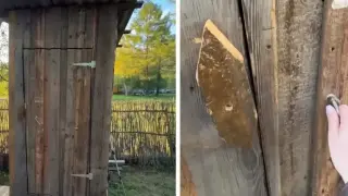 Момиче отвори тоалетна в село и видя нещо удивително Видео
