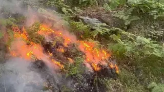 Пожарът край Рилския манастир обхвана над 900 дка