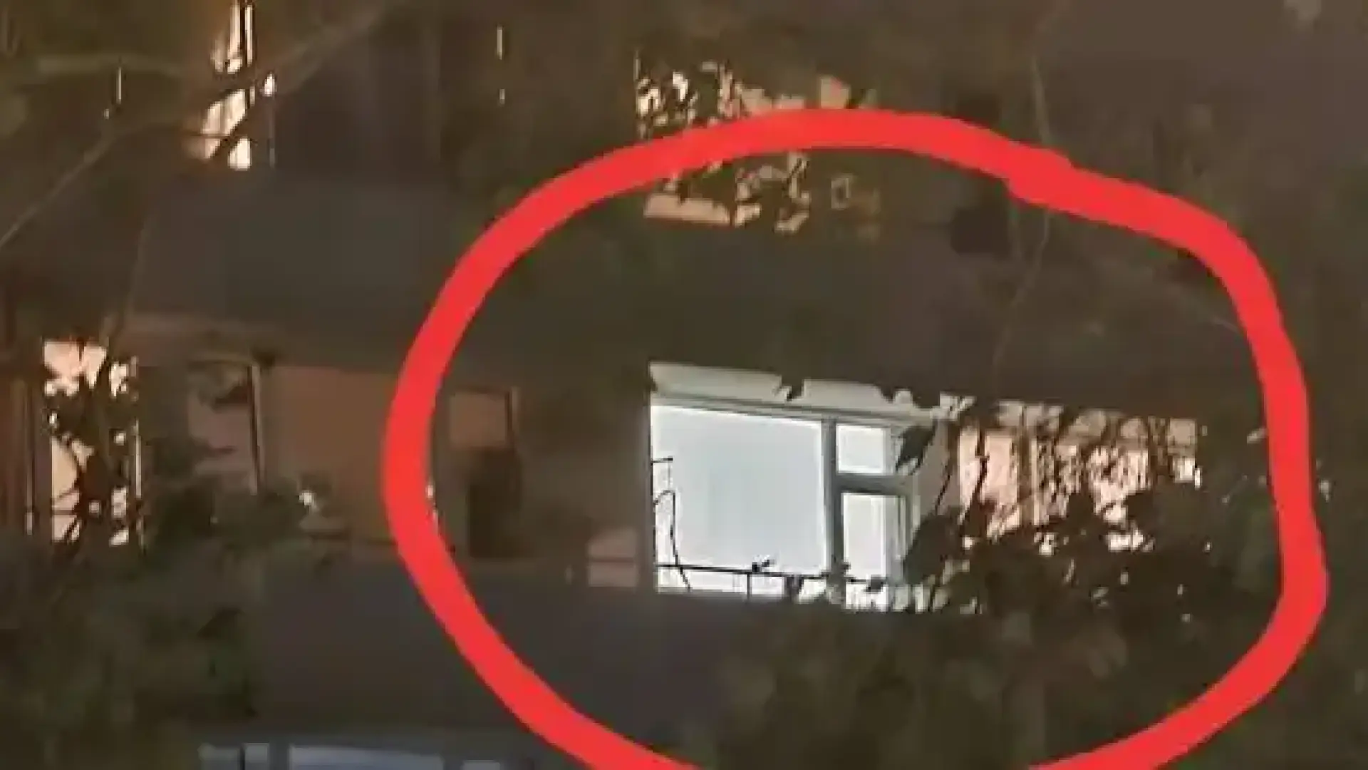 Кървава баня във Виена! Сърбин откри стрелба, остави два трупа Видео 18+