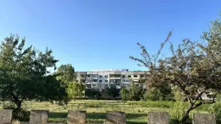 Цяла България ще говори за този надпис от блок №129 във Враца Снимки