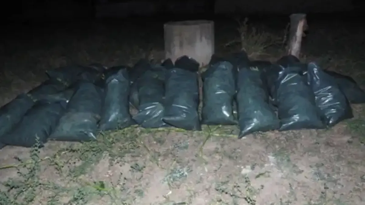 Полицията в Пазарджик с голям наркоудар Снимки