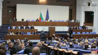 Политологът Цветанка Андреева: Лъвски скок за тази партия