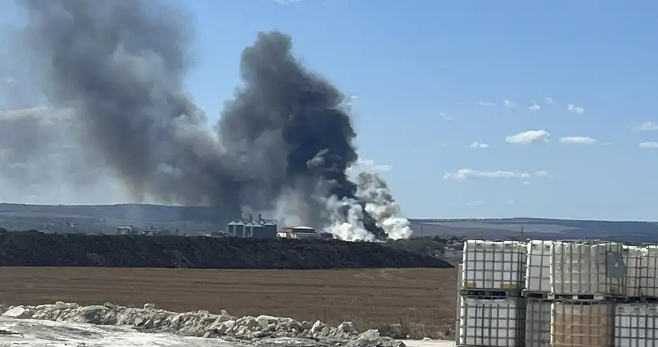 Извънредно от Варненско: Гръмнал електропровод предизвика голям пожар, черен дим се вие над...