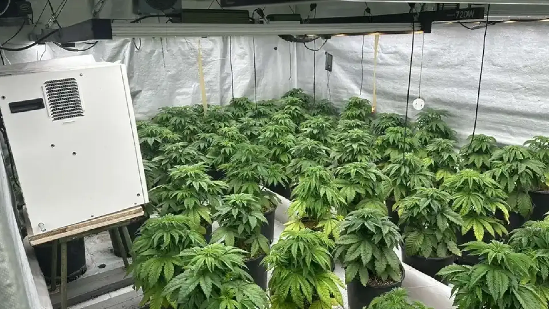 Удар по наркомафията: Купища задържани в този голям град