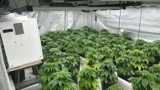 Удар по наркомафията: Купища задържани в този голям град