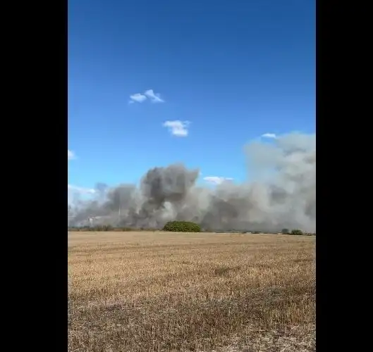 Опасна ситуация край стария содов завод край Девня Видео
