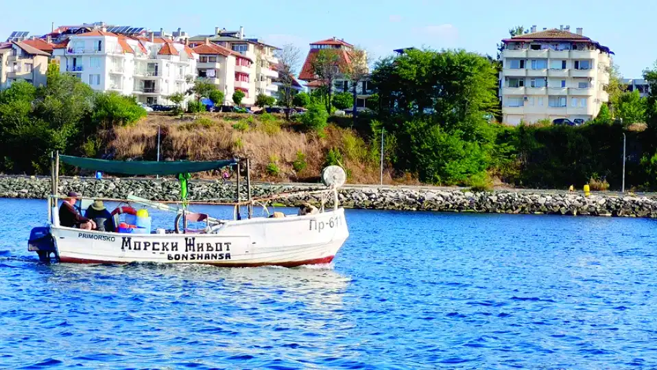 Голяма мъка налегна морските вълци в Ченгене скеле