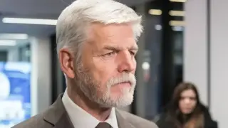 Чешкият президент към НАТО: Сваляйте руски самолети