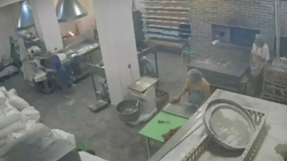 Страх и ужас: Крава нахлу в пекарна Видео