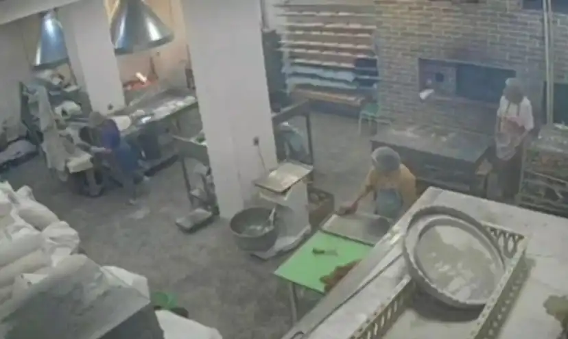 Страх и ужас: Крава нахлу в пекарна Видео