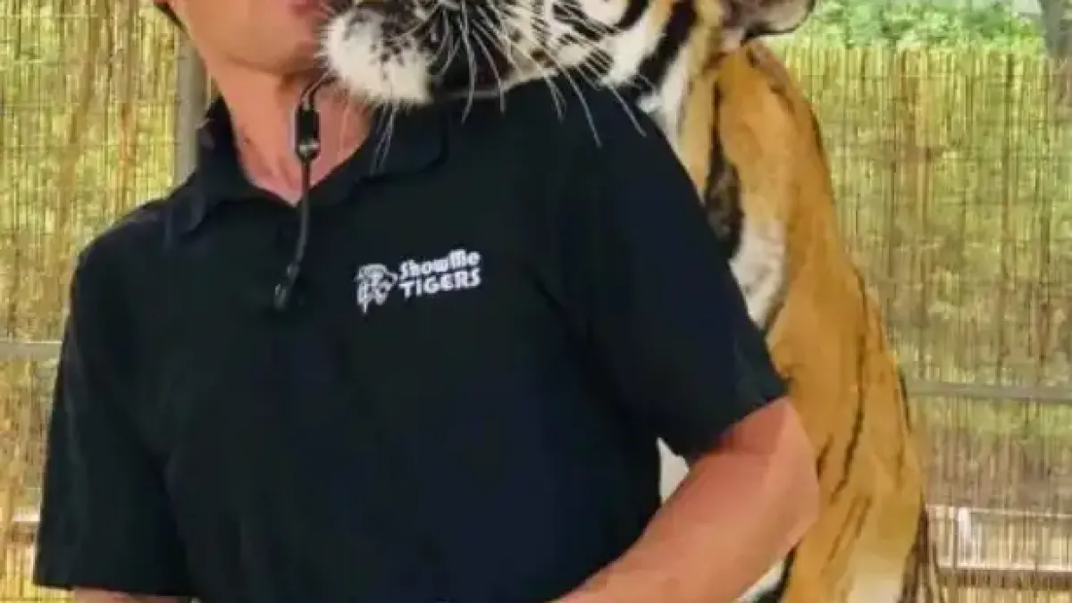Укротител на тигри от известно шоу беше убит от тигър в резервата си Снимки