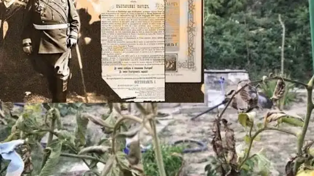 Дори Шопската е зависима! Ден на Независимостта - с "наливай ракията", но без вода