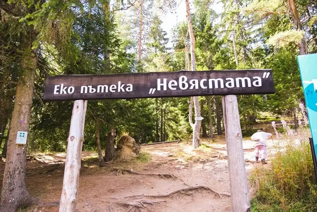 Потресаващи подробности за човешкия труп, намерен на пътека "Невястата" до Смолян