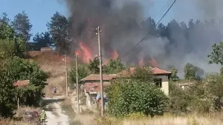 Сухиндолец варил зимнина и подпали гора – десетки къщи едва спасени от огъня!