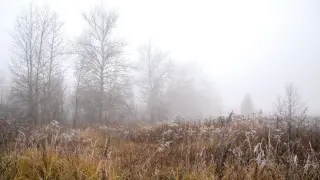 Полярен вихър ще диктува през октомври, сковават ни минус 5°